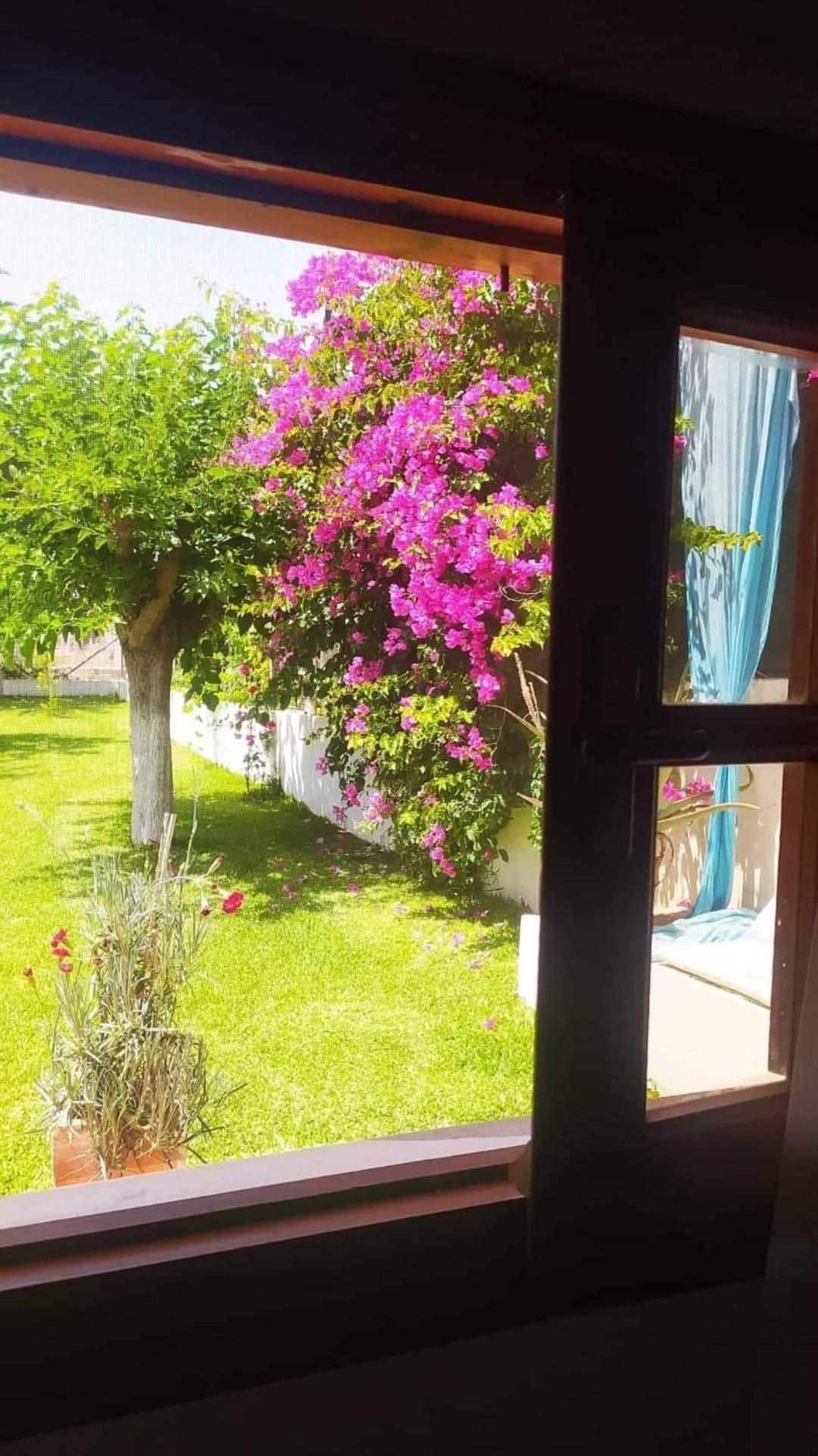 Amaryllis Sweet Home Pyrgos  Ngoại thất bức ảnh