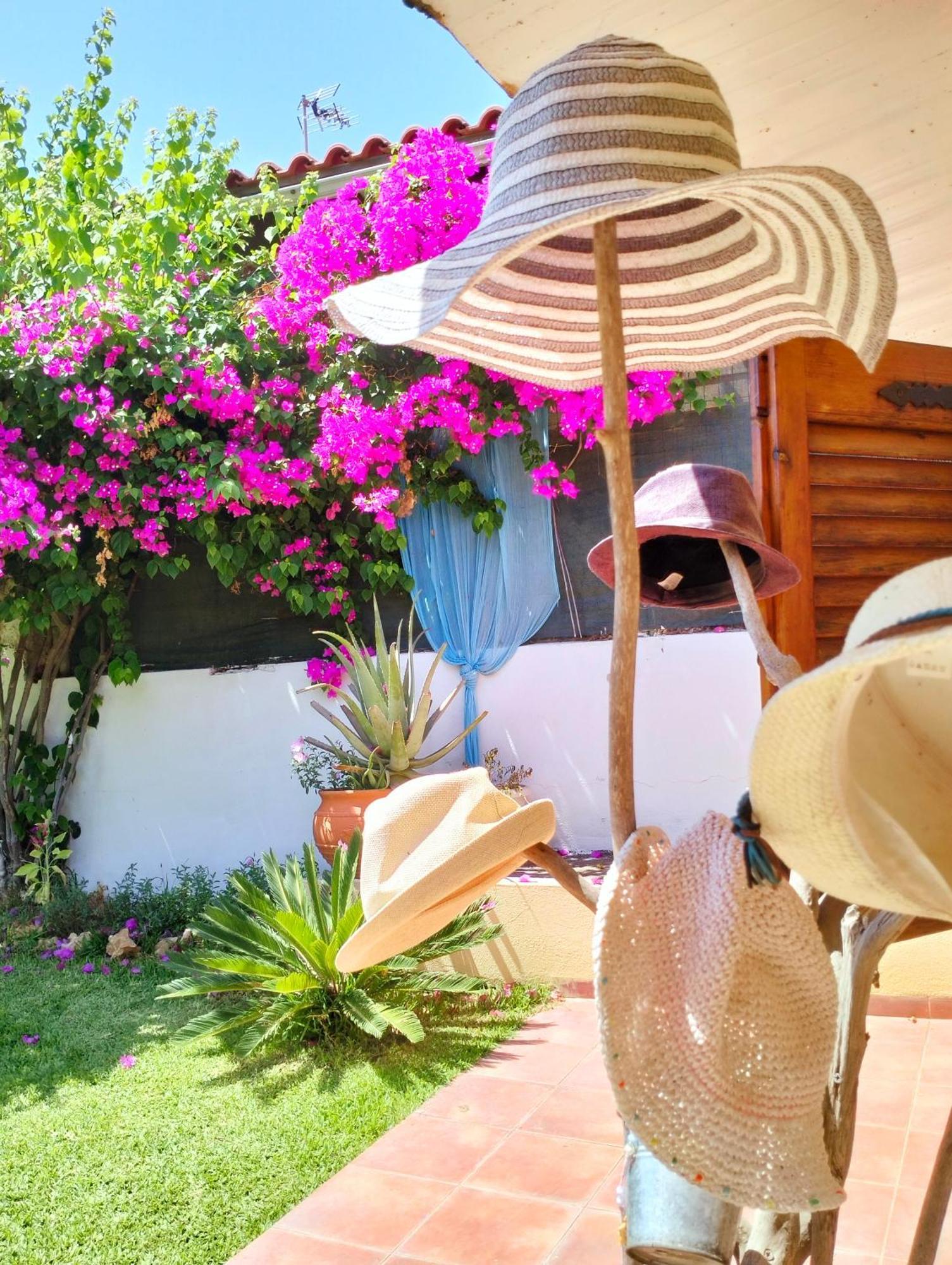 Amaryllis Sweet Home Pyrgos  Ngoại thất bức ảnh